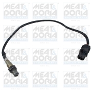 MEAT & DORIA 8 * * * E