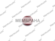 Hermann HR55573746A