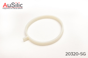 AuSilic 20320SG