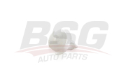 BSG AUTO PARTS BSG15995001