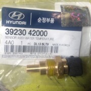 Hyundai-KIA 3923042000