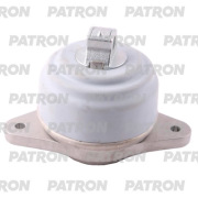 PATRON PSE30960