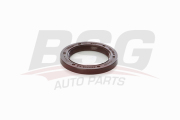 BSG AUTO PARTS BSG30116119