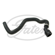 Gates 021807