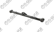 Ti-Guar TG4873042020