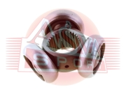 ASVA ASTR037