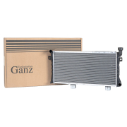 GANZ GIF07141
