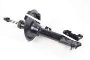 ZF Russia 316710ZFR