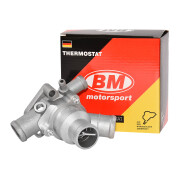 BM-Motorsport TS1118