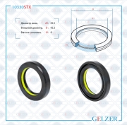 GELZER 1 * * * X