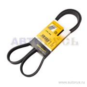 ContiTech 6PK1460