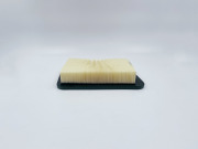 BIG FILTER GB9557 