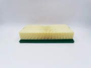 BIG FILTER GB9639 