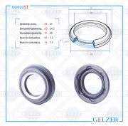 GELZER 0 * * * T