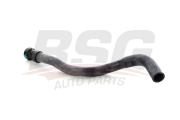 BSG AUTO PARTS BSG30720228