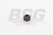 BSG AUTO PARTS BSG60426001