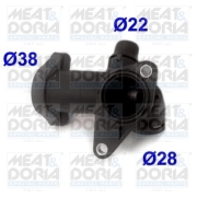 MEAT & DORIA 9 * * * 6