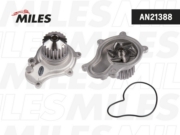 Miles AN21388