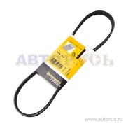Continental 4PK815 Ремень поликлиновой