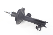 ZF Russia 318894ZFR
