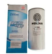 WEICHAI 1000053555