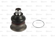 Schatz S12654