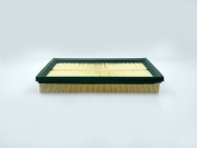 BIG FILTER GB9581
