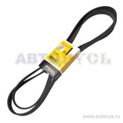 ContiTech 7PK2418