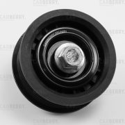 CARBERRY 55CA251
