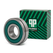PILENGA P * * * 2
