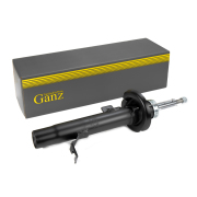 GANZ G * * * 0