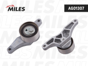 Miles AG01307