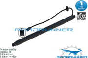 ROADRUNNER RR31386705