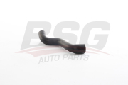 BSG AUTO PARTS BSG60720089