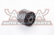 ASVA 020101J