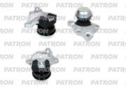 PATRON PSE31007 