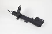 ZF Russia 316994ZFR