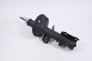 ZF Russia 3 * * * R