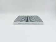 BIG FILTER GB98093C