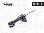 Miles DG1182101 Амортизатор