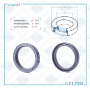 GELZER 01660ST