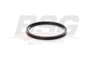 BSG AUTO PARTS BSG60116009