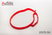 AuSilic 20172SG
