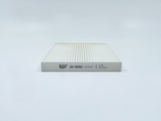 BIG FILTER GB98082