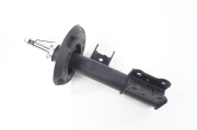 ZF Russia 315268ZFR