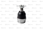 Schatz S12889