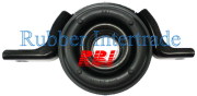 RBI O29496G
