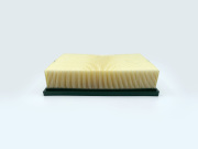 BIG FILTER GB9644 