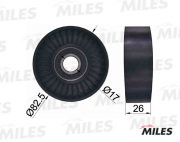 Miles AG02054 Ролик ремня ГРМ