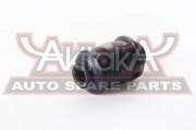 ASVA 0101ACA2R1
